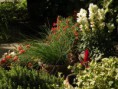 /album/fiori/angoli-di-stagione-6-jpg/